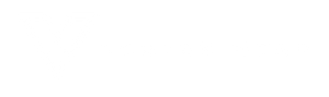 Vortex Apparel Clothing